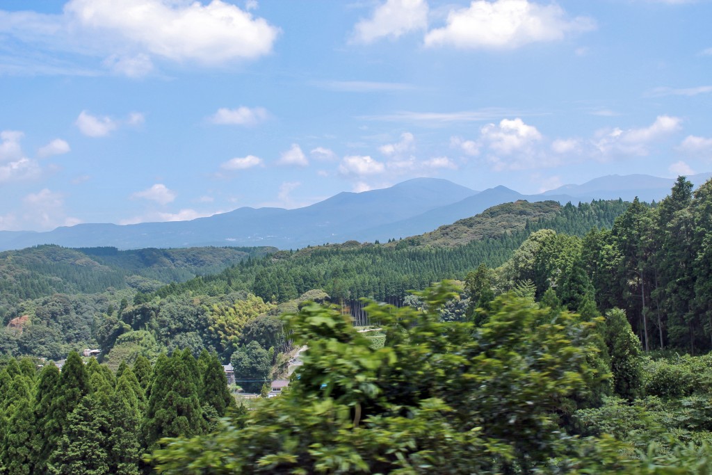 Mountain full of trees on the way to Kirishima Jingu Shrine.