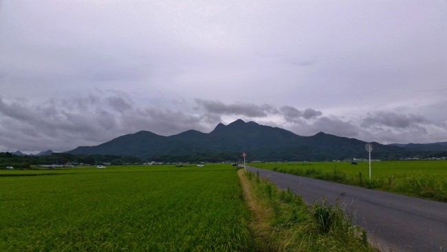 Green field in Konohanakan with a stree to the side and a mountainous landscape far in the distance before reaching the restaurant.