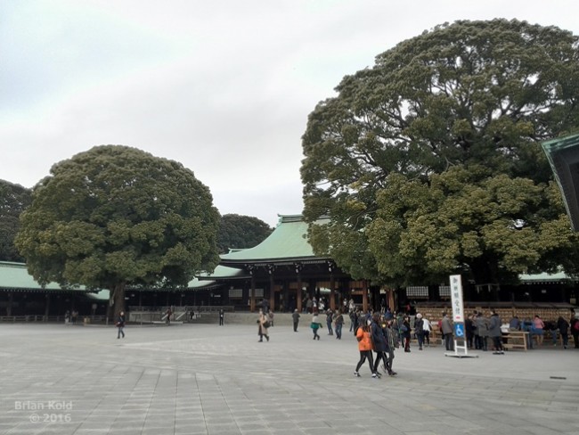 Meiji Shrine grounds in Tokyo