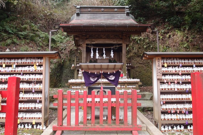 Shelving foxes to the hill shelf below Daibutsu hiking course, Sasuke-inari shrine, Kamakura