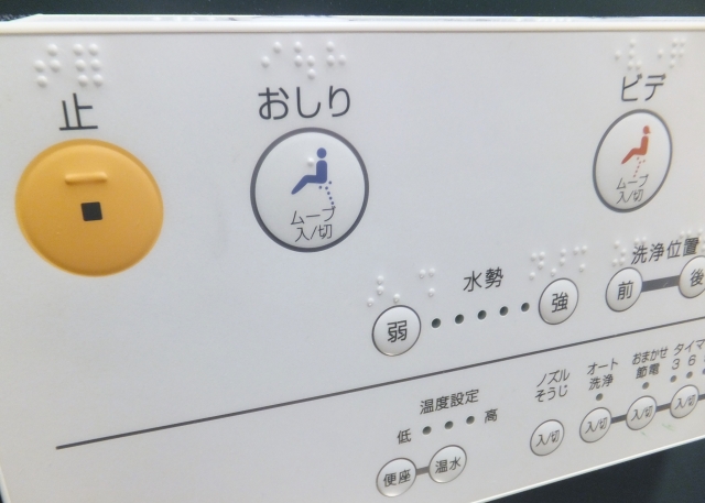 How do I use a Japanese toilet?