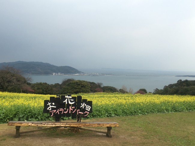 A bench with a sign with a large open area in Nokonoshima full of flowers behind it. Body of water far into the distance that connects to Fukuoka.