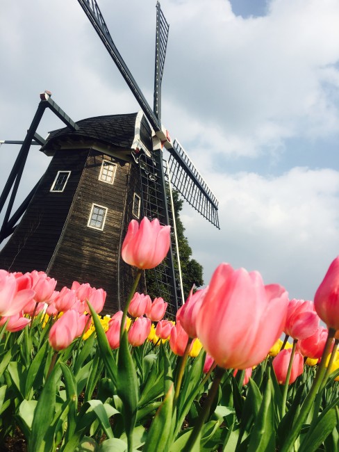 Huis Ten Bosch, Nagasaki’s Dutch treat amusement park