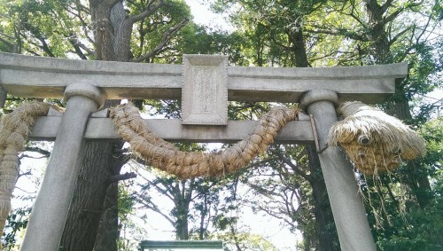 Snake at Okusawa shrine gate in Tokyo.