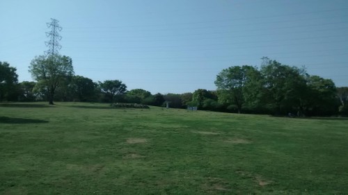 green field of Daisen park, Sakai