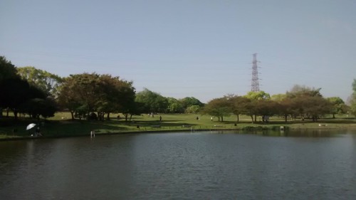 pond in Daisen park, Sakai