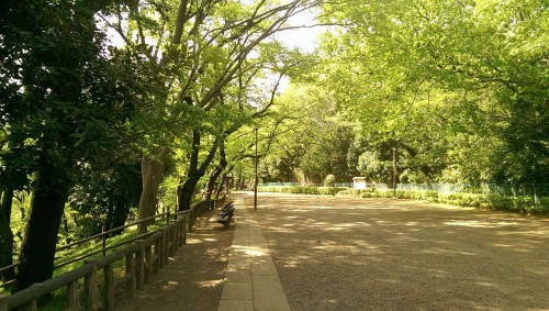 Park near Tamagawa river.