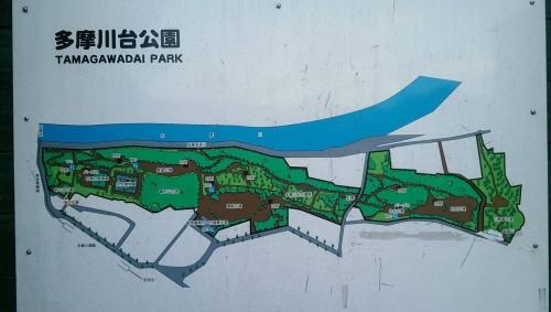Park map near Tamagawa river.