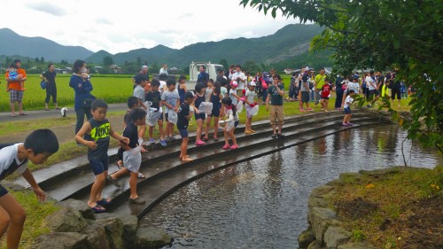 children catching fish at a festival