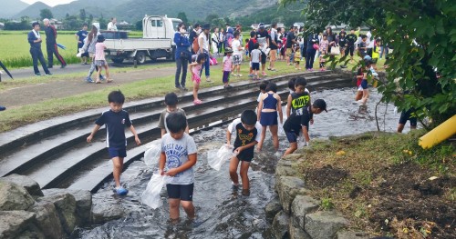 catch the fish! festival