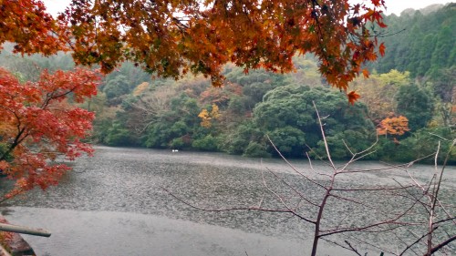 Kagoshima Midoriso hot spring view of the water and nature.