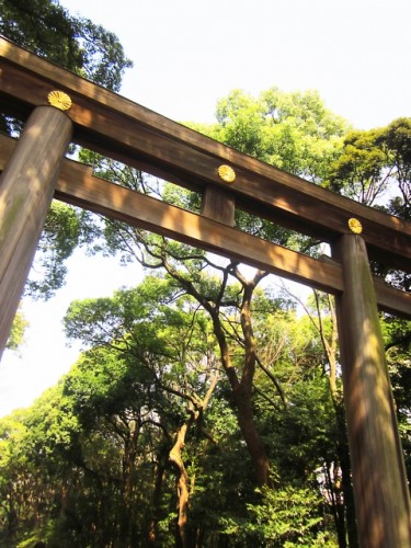 main gate in meiji shrine can be accessed easily by walking in Tokyo Japan