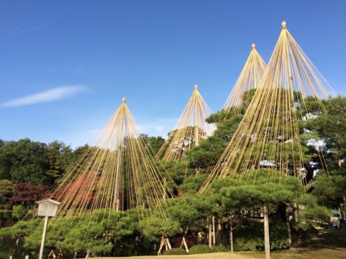 Kenrokuen in Kanazawa is Japan’s top 3 garden with cherryblossom