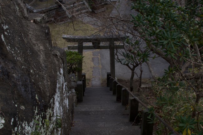 flight of stairs down to a torii gate