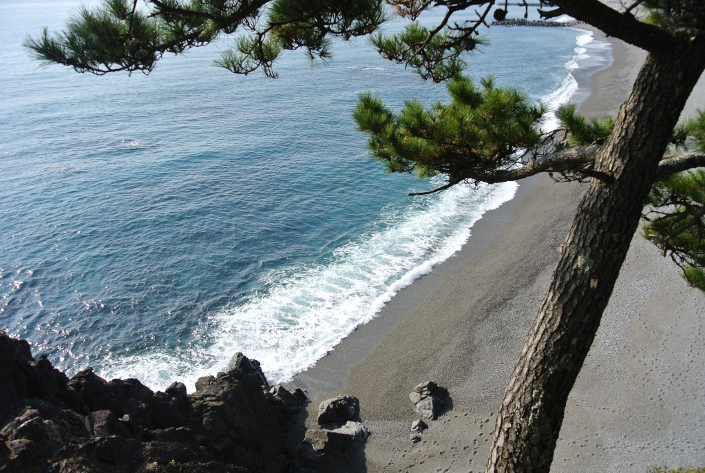 Katsurahama Beach in Kochi, not your usual seaside stop!