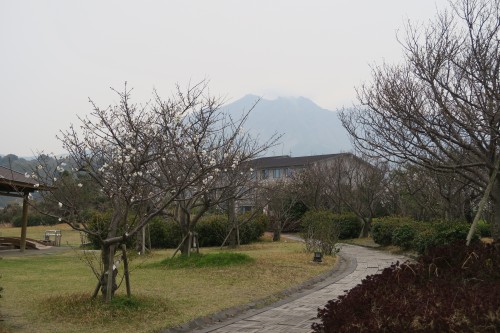 foot spa and park in Sakurajima 