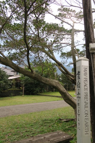 signpost next to tree