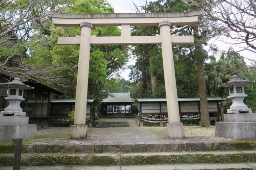 tori gate of shrine in Yakushima