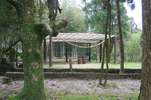 shelter in forest