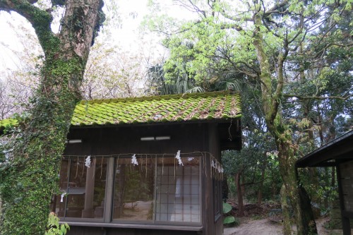 hut in yakushima