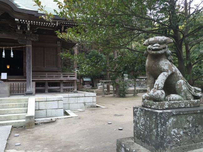 Lion gazing among Goryo Shinto Shrine grounds, Kamakura