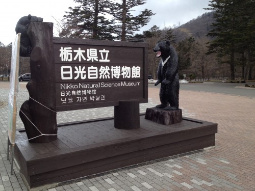 Nikko Natural Science Museum, a short walk from Chuzenji onsen - an attraction other than grand Nikko waterfall Kegon Falls
