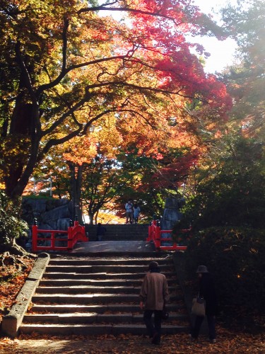 autumn colors at Morioka castle park