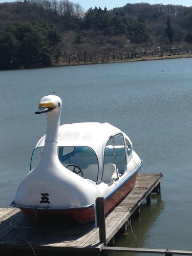 get on a swan shaped pedal boat in a pond in Morioka