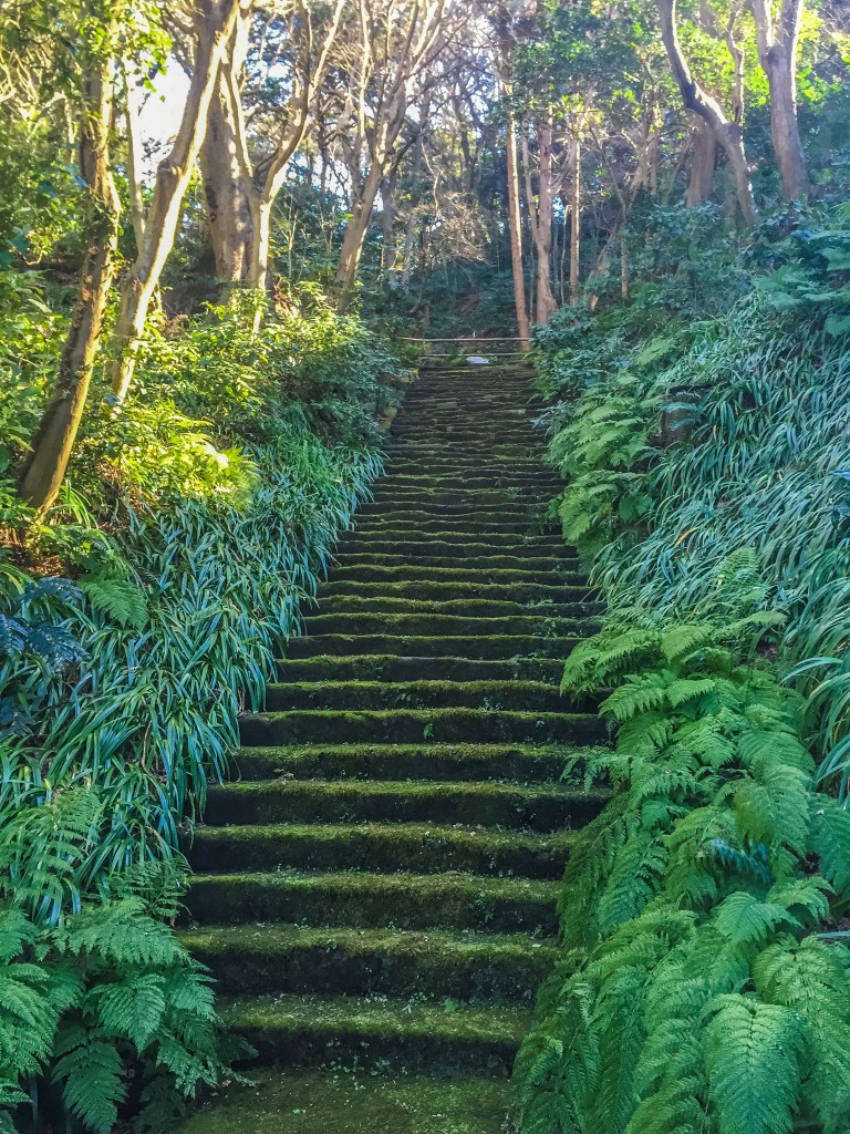 Myoho-ji temple in Kamakura, with fully green moss!