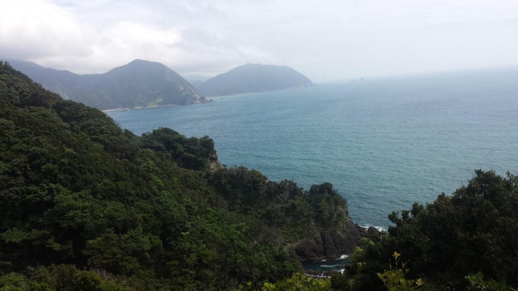 Tokyo getaway – Trip to the castle towns and beaches Shizuoka