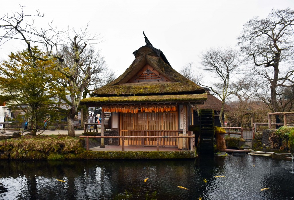 Five Lakes of Yamanashi: A sightseeing tour