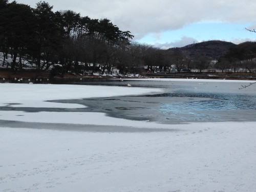 Takamatsu pond in Morioka during winter