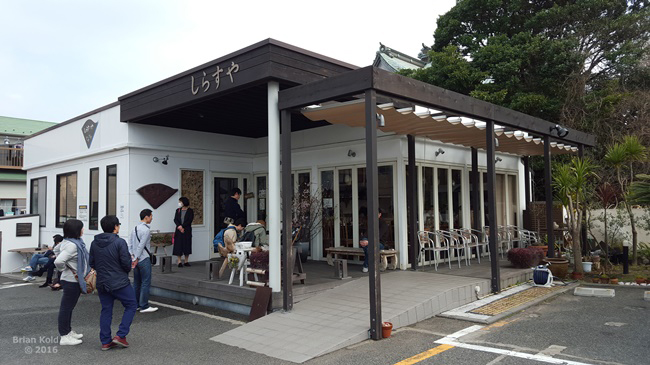 shirasudon,seafood,cuisine,Japanese,enoshima,kamakura,tokyo