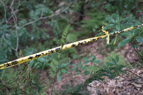 Yellow warning tape in Gionyama hiking course in Kamakura.