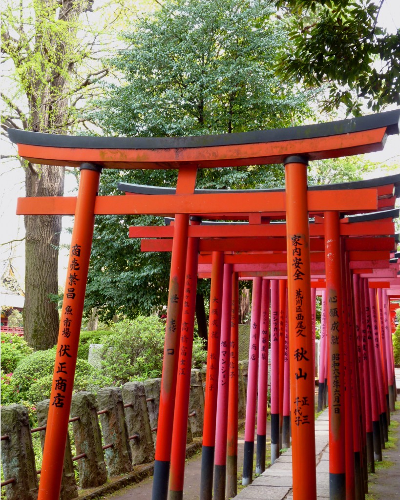 Shrine gate colors complement blooming azalea garden at Nezu Shrine, during its Azalea Festival