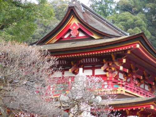 Dazaifu Tenmangu shrine, Fukuoka