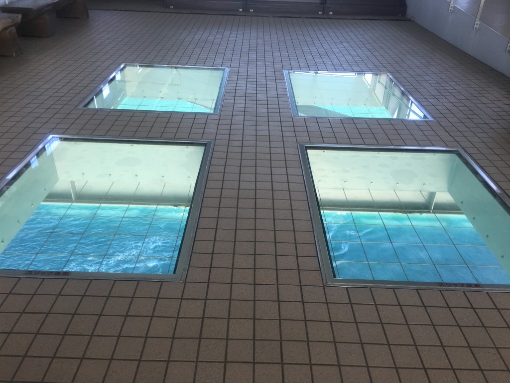 Naruto whirlpools: No ninja, but a great natural phenomenon