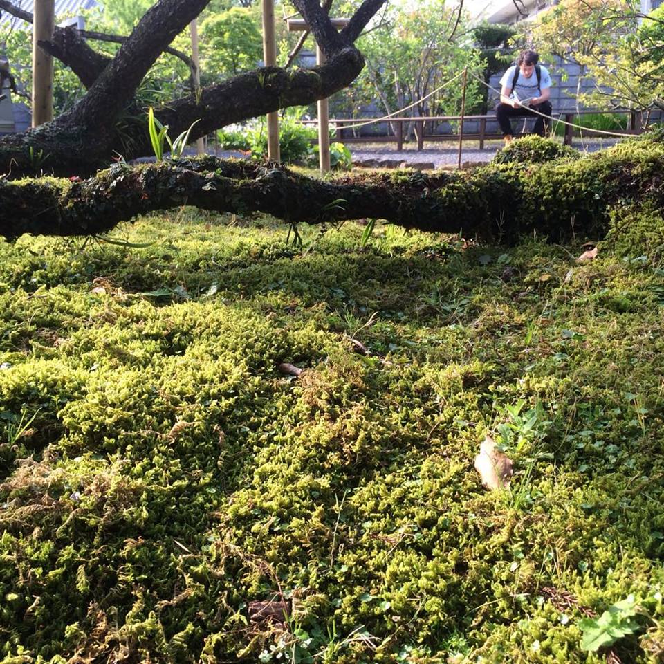 Amakusa Open Garden, Kumamoto