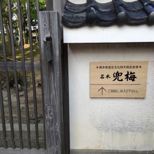 Amakusa Garden in Kumamoto offers a tranquil walk