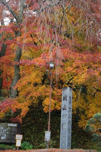 Trees in Shiroyama Park along a walking course in Takayama in autumn.