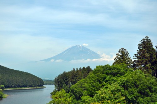 A lake and forest before the mountain of Fuji in Fujinomiya.