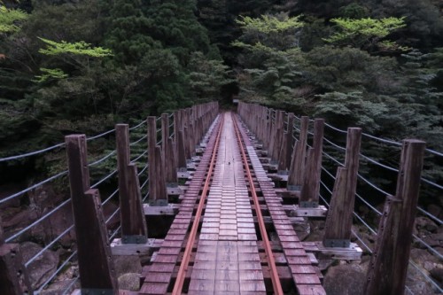 The hiking route, bridge, in Yakushima, Kagoshima, Japan.