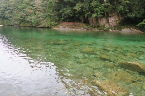 Beautiful river on the way to Jomon Sugi, in Yakushima, Kagoshima, Japan.