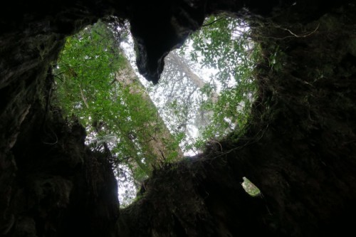 Heart shape in Yakushima, Kagoshima, Japan.