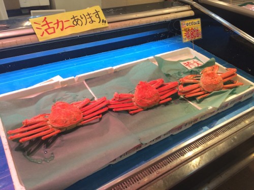 sakana machi crab, tsuruga city, Fukui