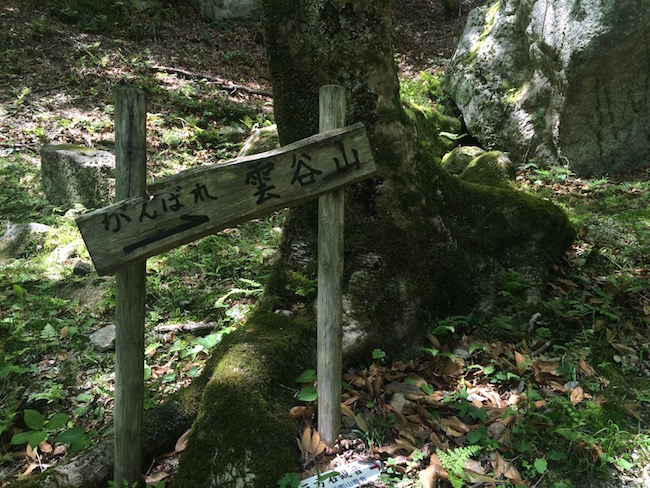 Beyond the Tall Towers: A Secret Hike in Mihama, Fukui