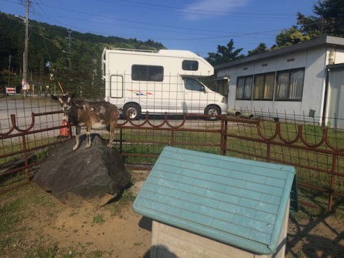RV (Wohnmobil) Japan Reise mit Camp-in-Car!