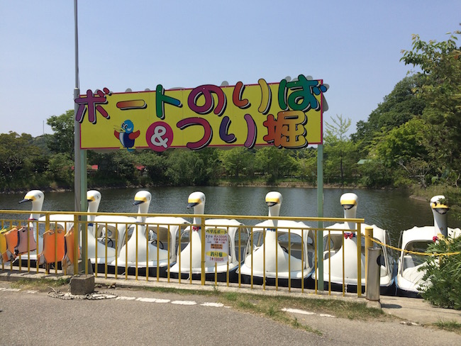 roman no mori swan boats