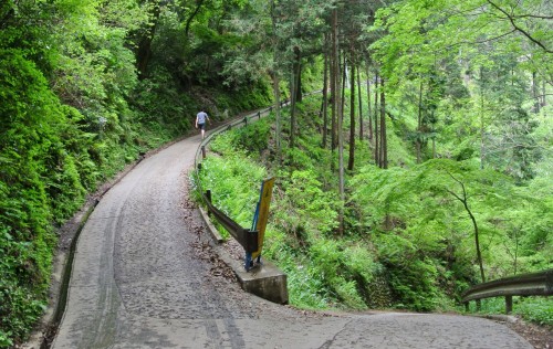 the hiking pass of Omotesando trail, Mt. Takao in Tokyo