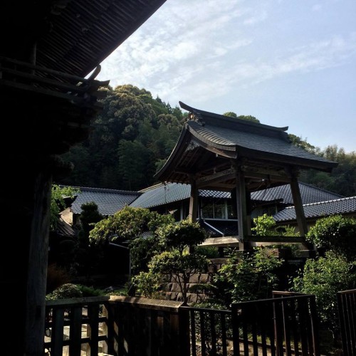 Myotokuji Temple Garden in Amakusa